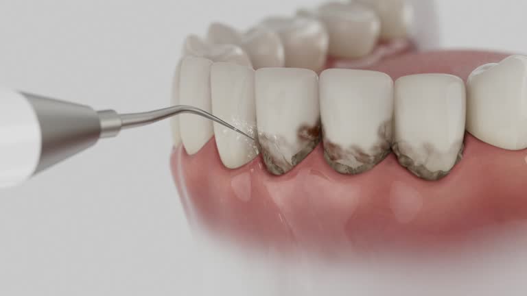 Reliable Dental contractor in Bourbonnais, IL by Dentist Open Now